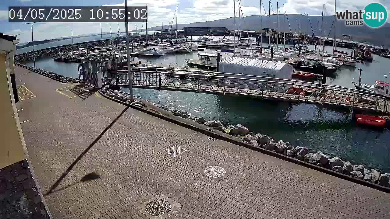 Fenit Marina livecam