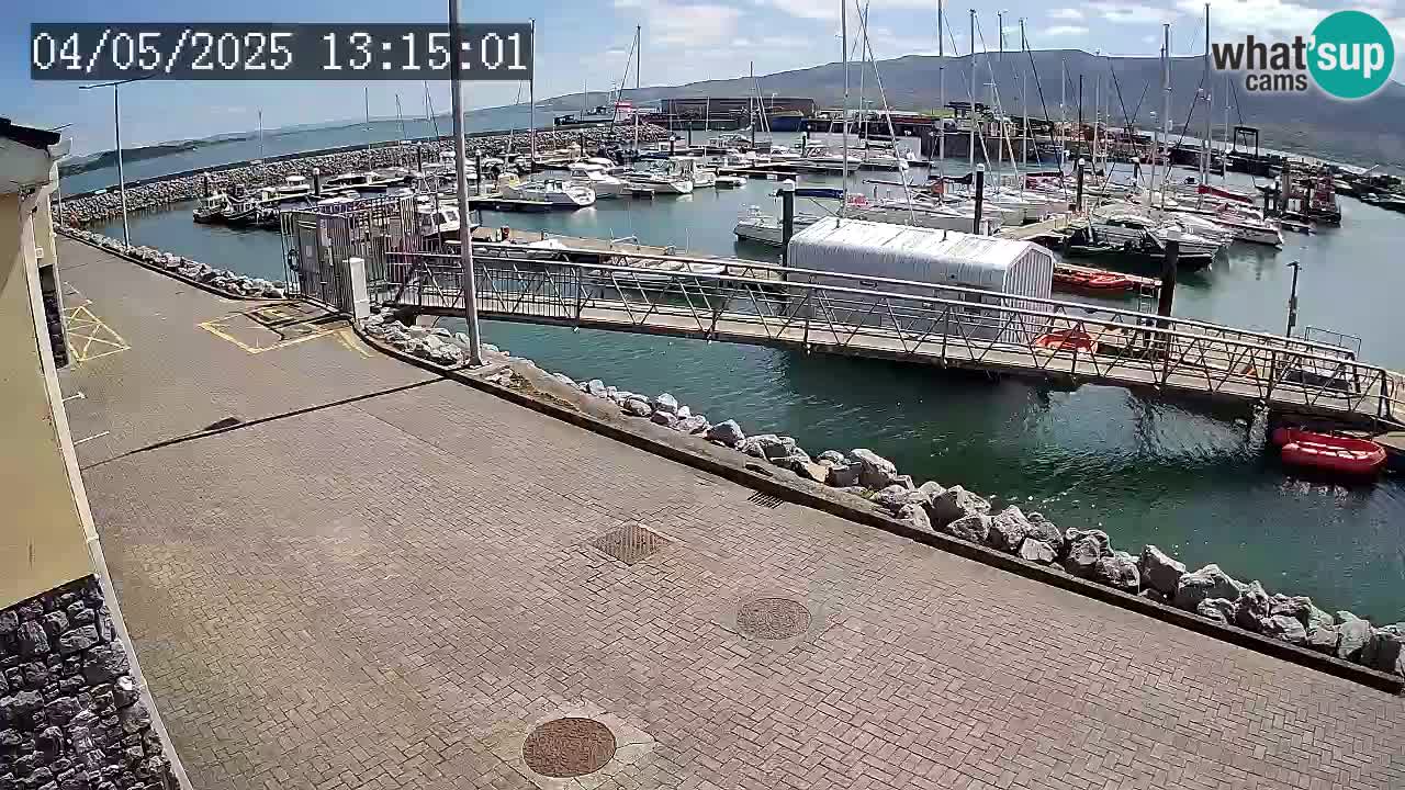 Fenit Marina webcam