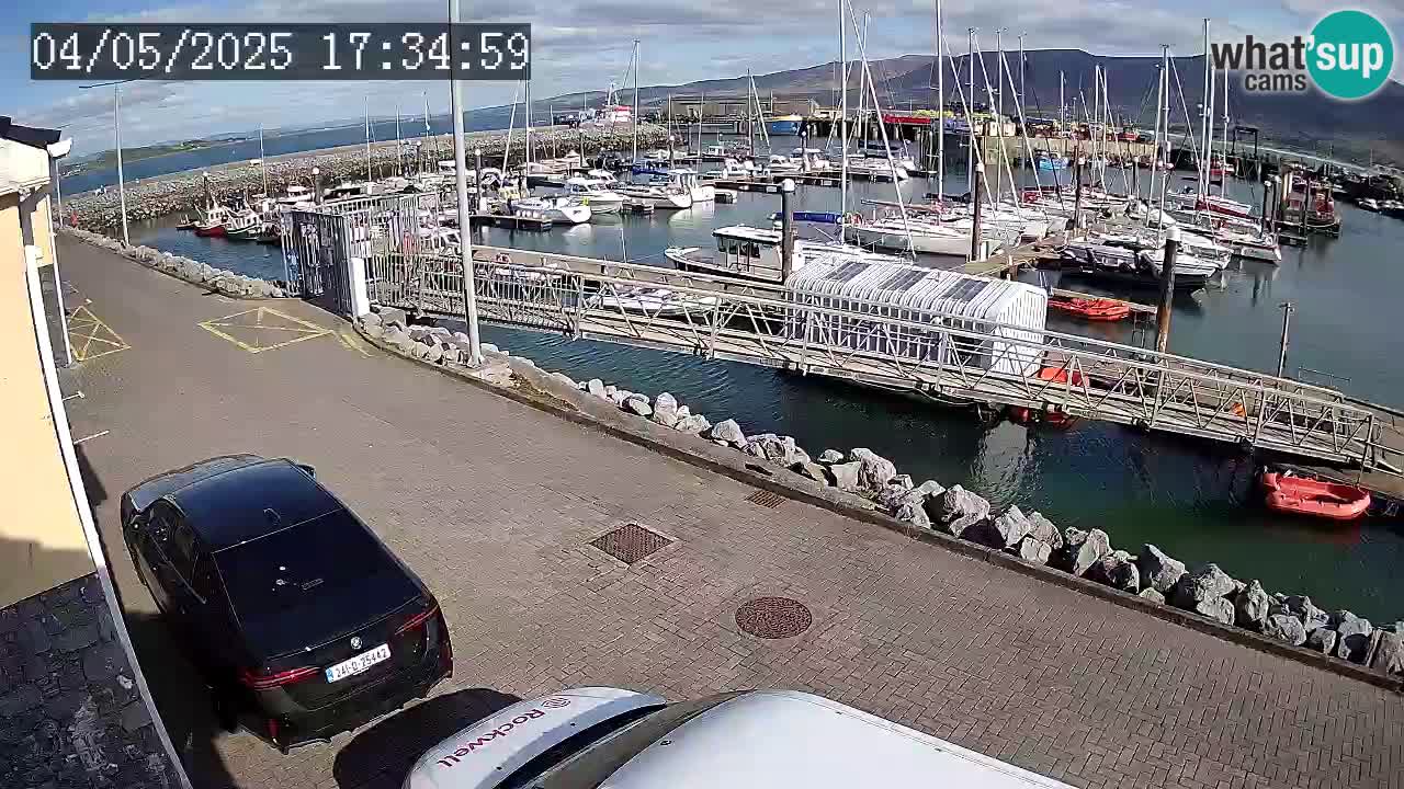 Fenit Marina live webcam