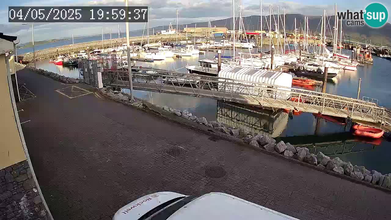 Fenit Marina spletna kamera