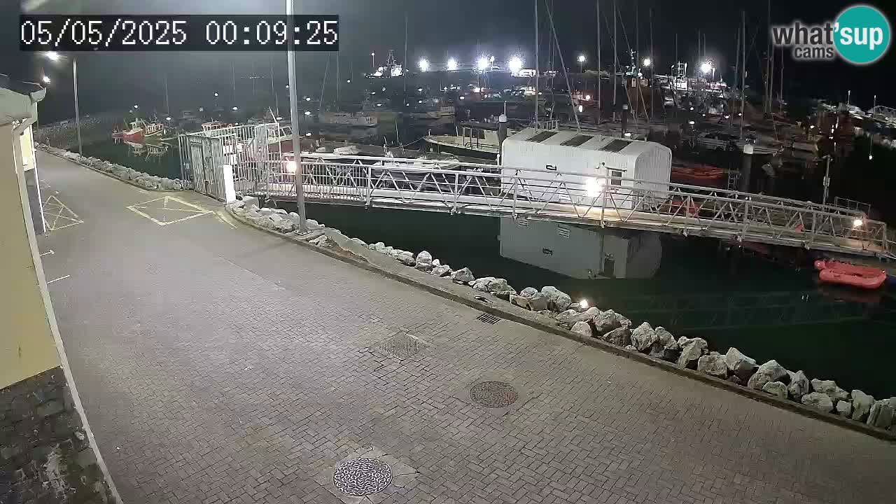 Fenit Marina web kamera