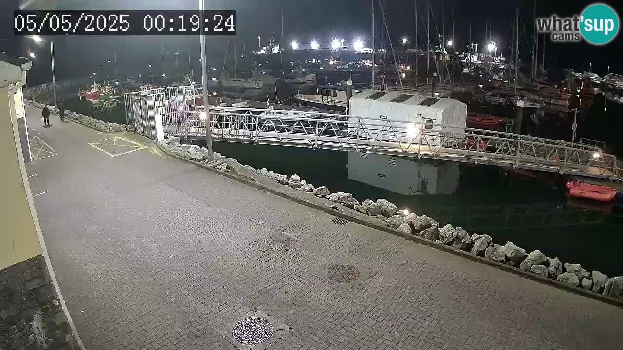 Fenit Marina webcam