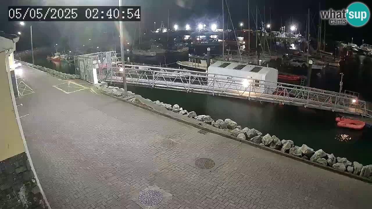 Fenit Marina livecam