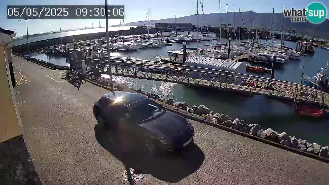 Fenit Marina web kamera