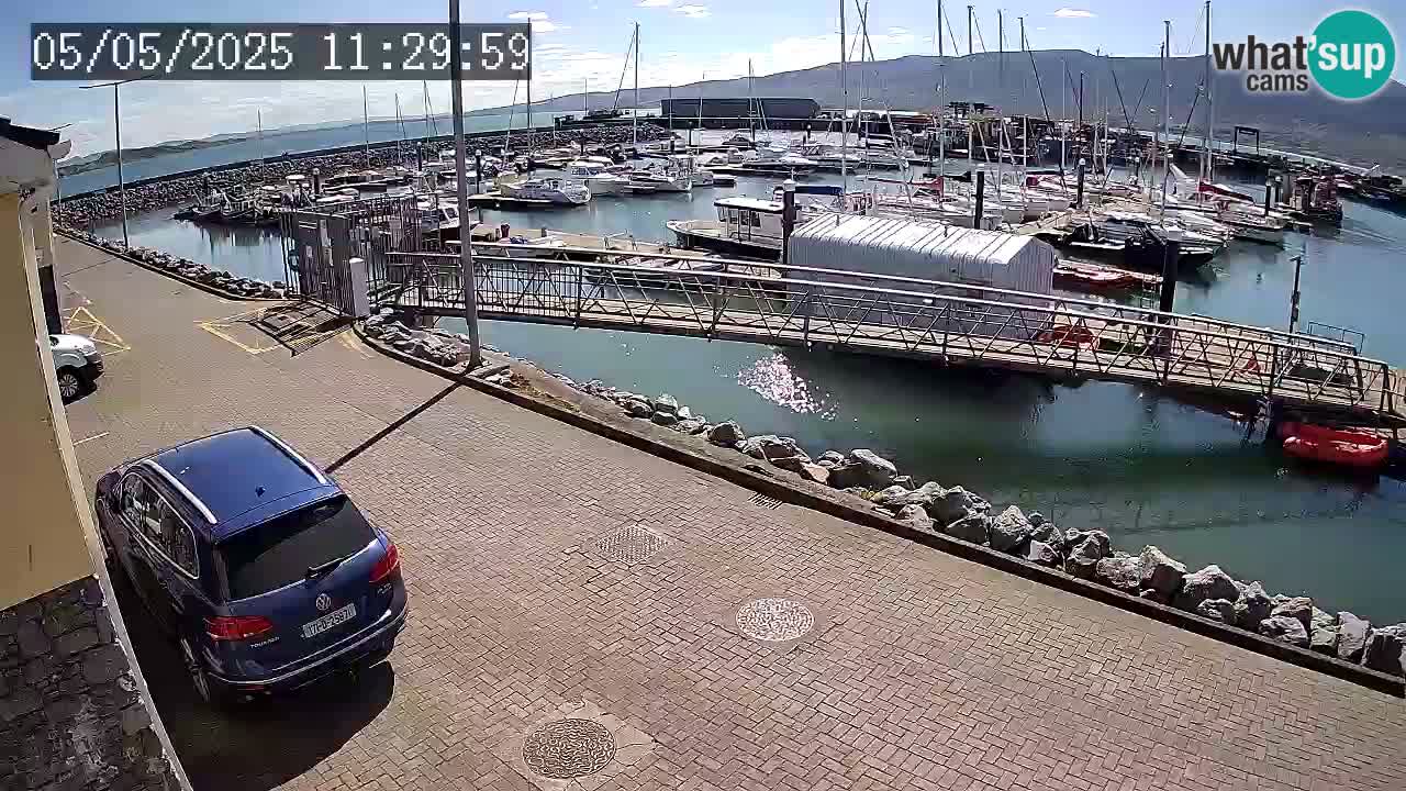 Fenit Marina webcam