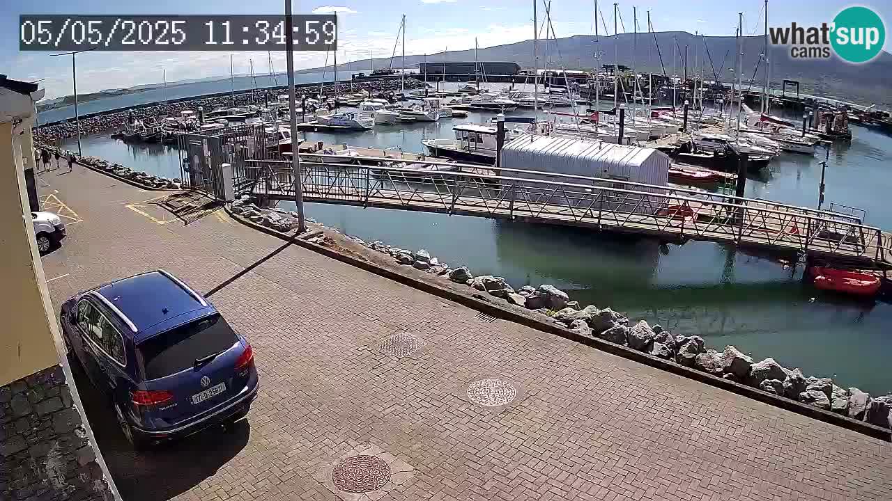 Fenit Marina live webcam