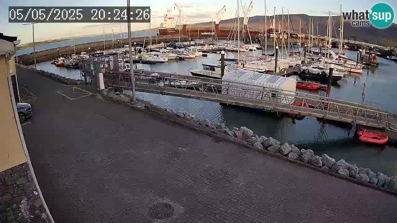 Fenit Marina camera en vivo