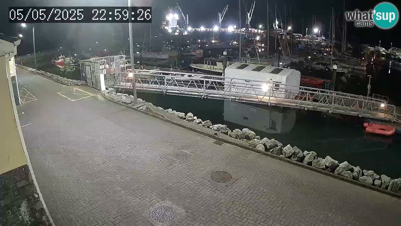 Fenit Marina spletna kamera
