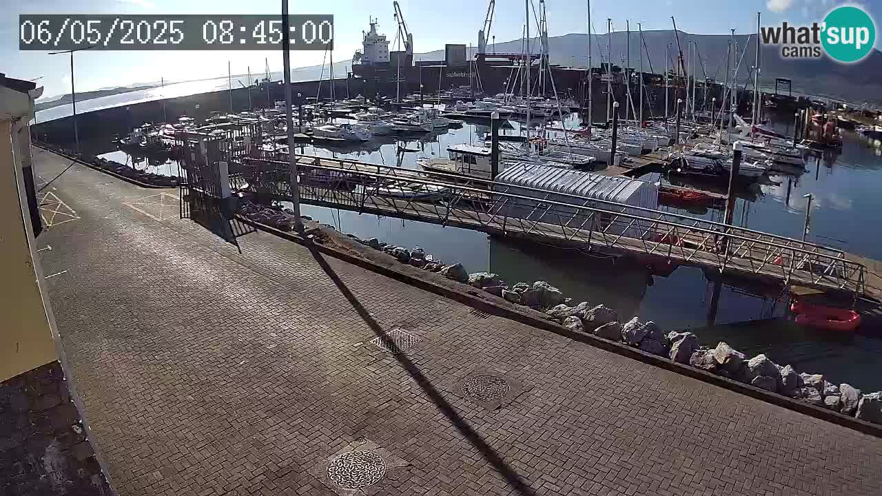 Fenit Marina webcam