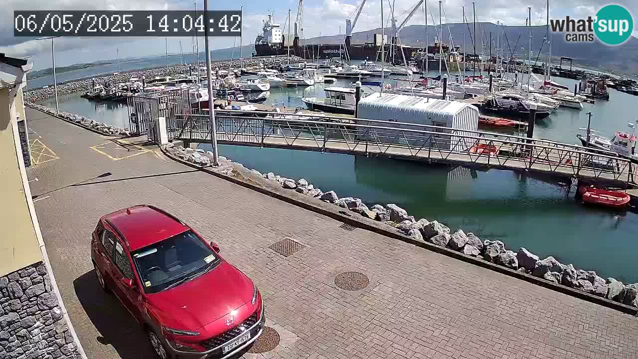 Fenit Marina livecam