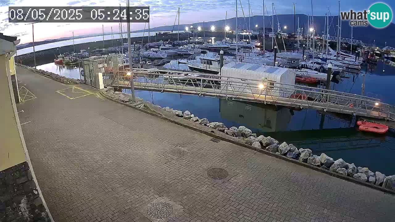Fenit Marina livecam