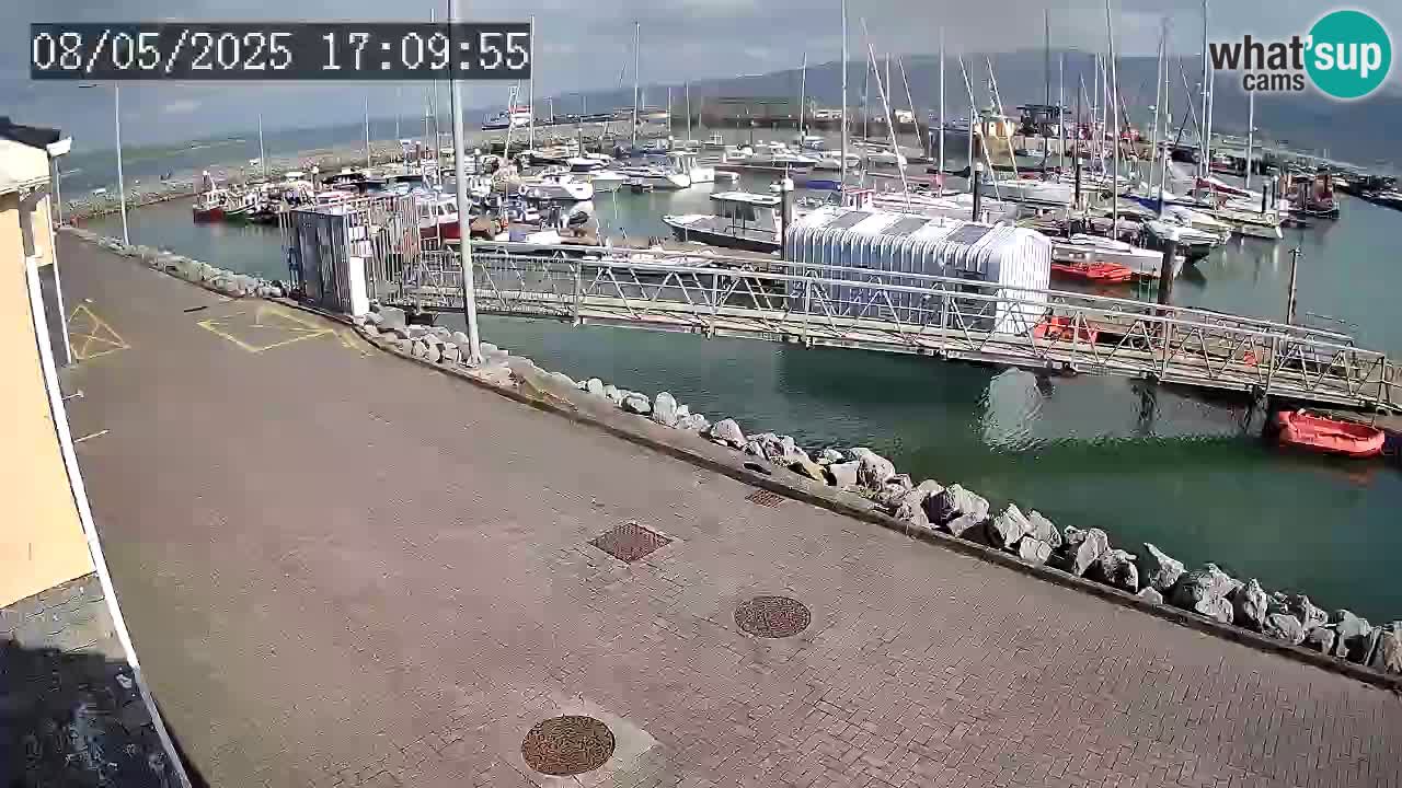 Fenit Marina camera en vivo