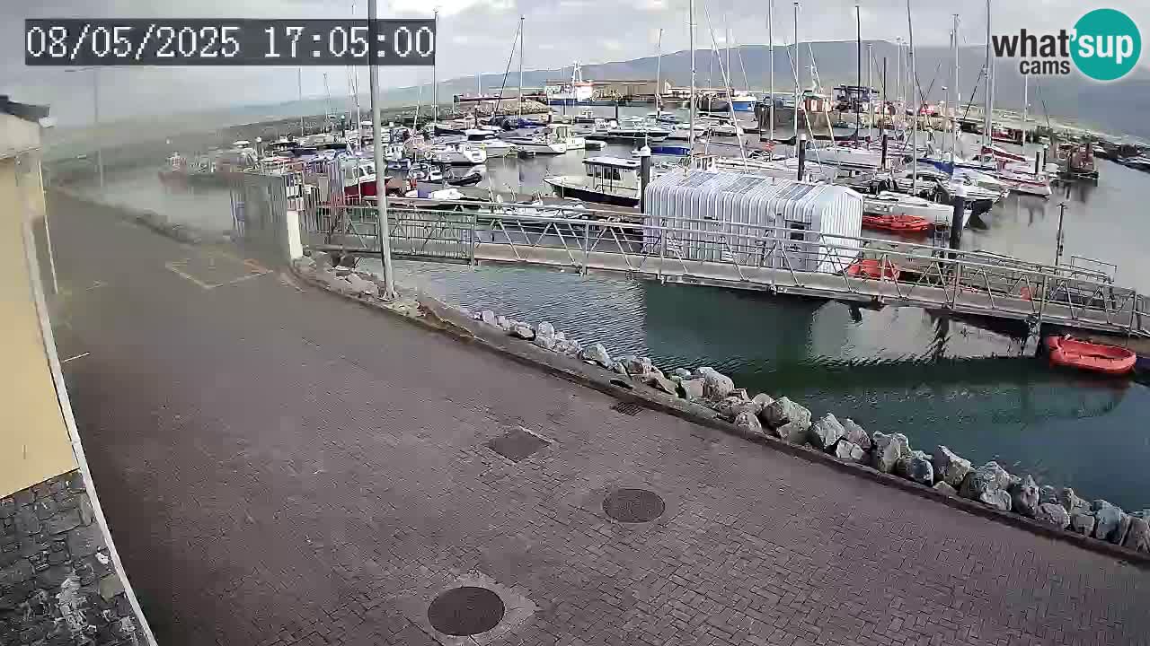 Fenit Marina webcam