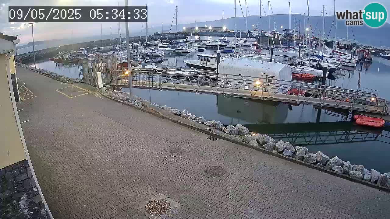 Fenit Marina spletna kamera