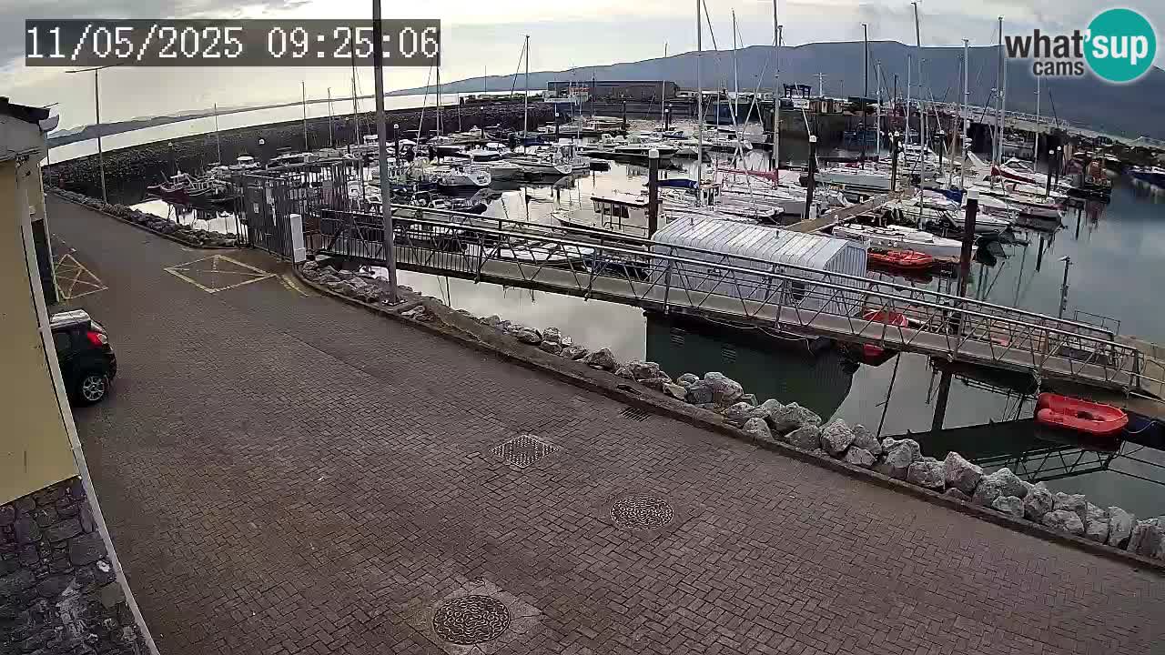 Fenit Marina spletna kamera