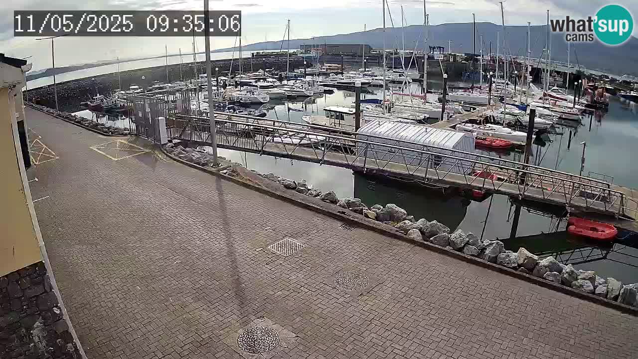 Fenit Marina livecam