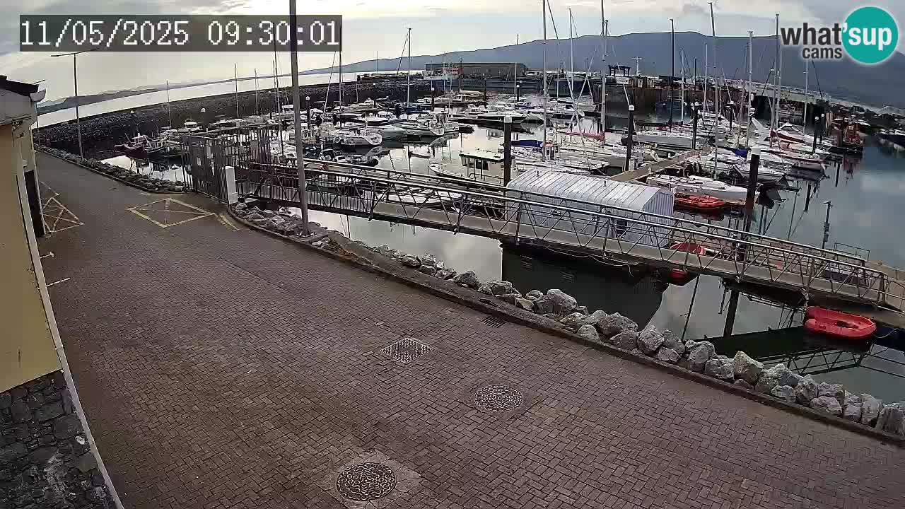 Fenit Marina livecam