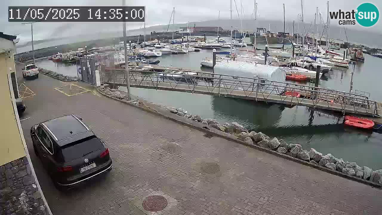 Fenit Marina camera en vivo