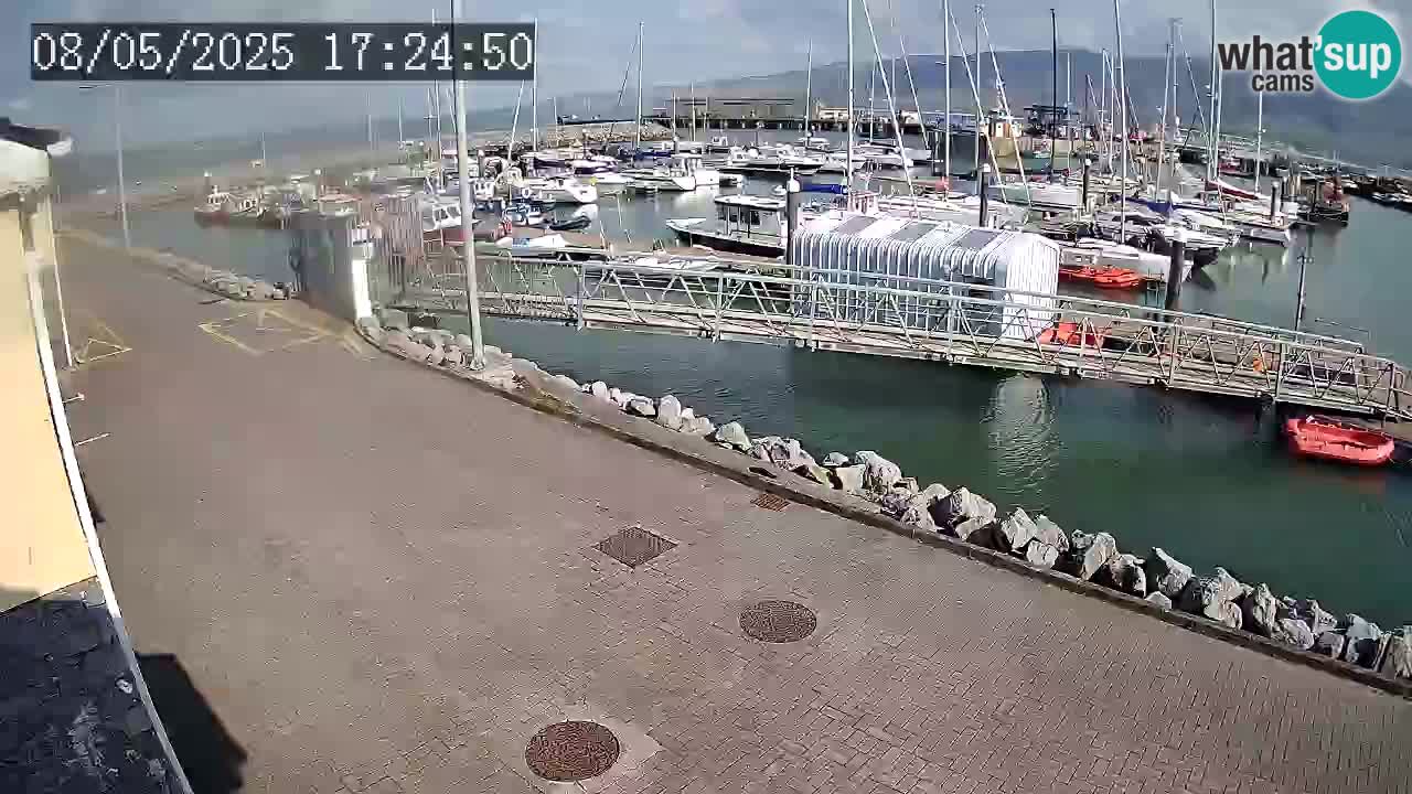 Fenit Marina spletna kamera