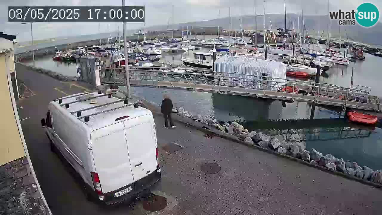 Fenit Marina webcam