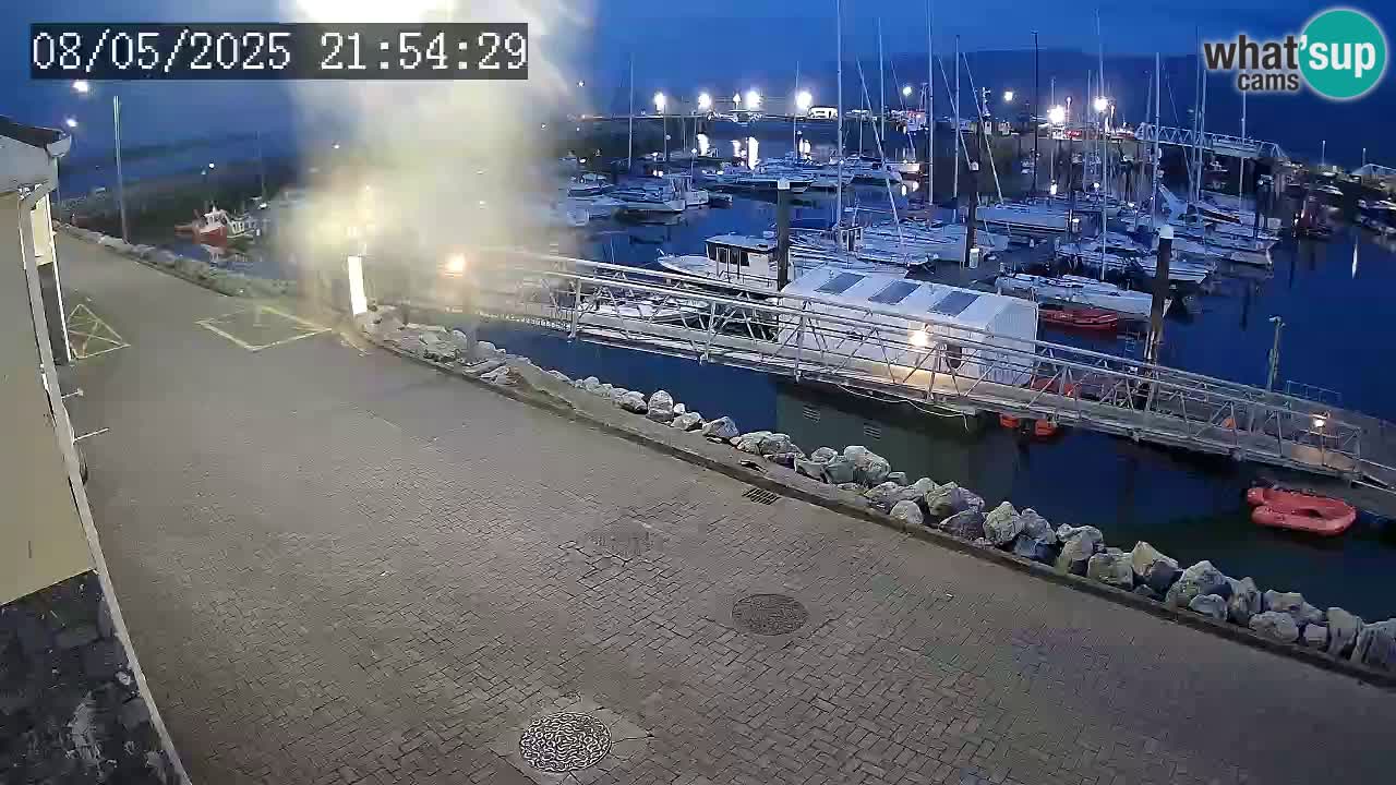 Fenit Marina webcam
