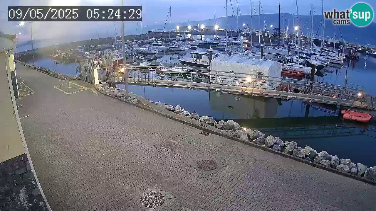 Fenit Marina spletna kamera