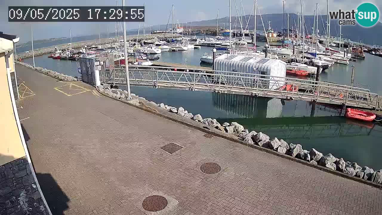 Fenit Marina livecam