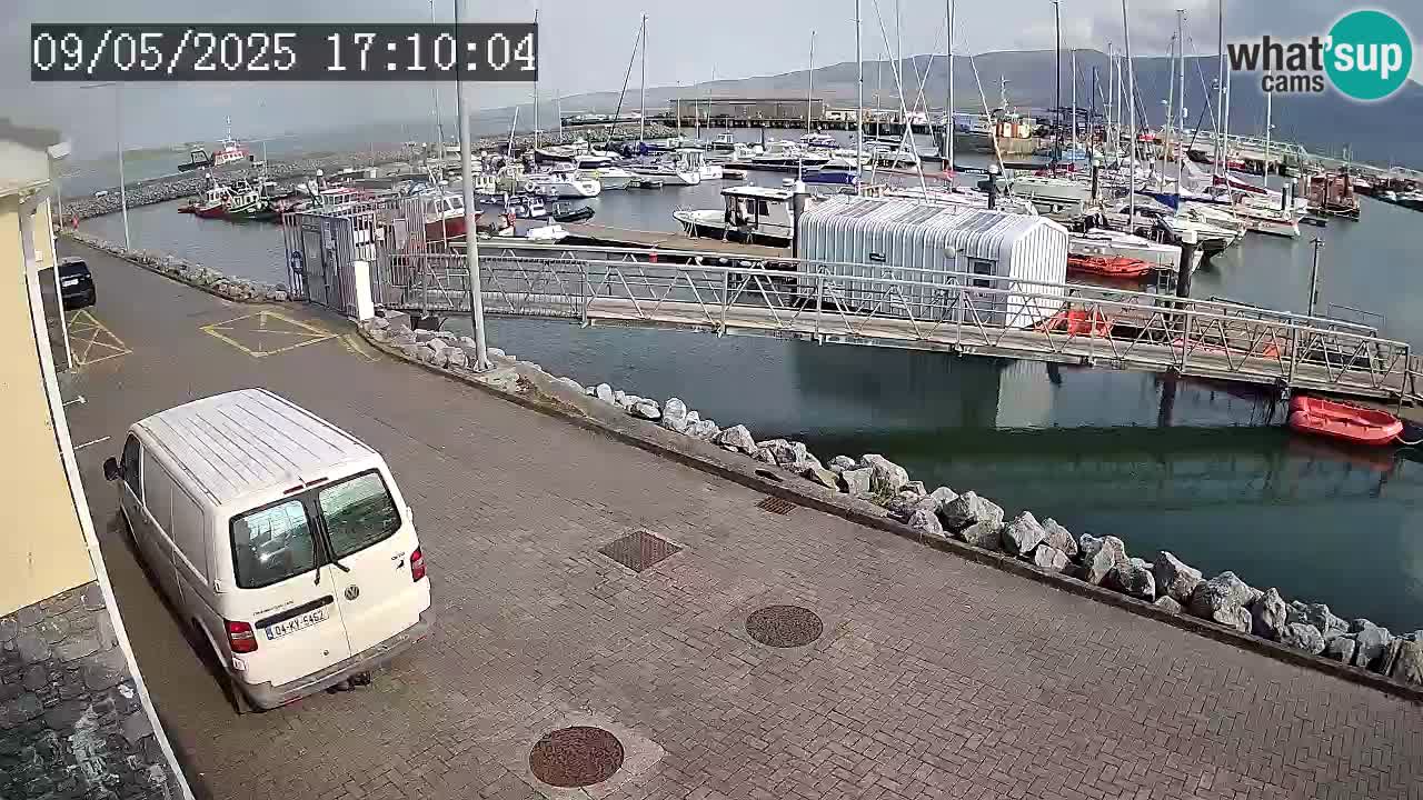 Fenit Marina webcam