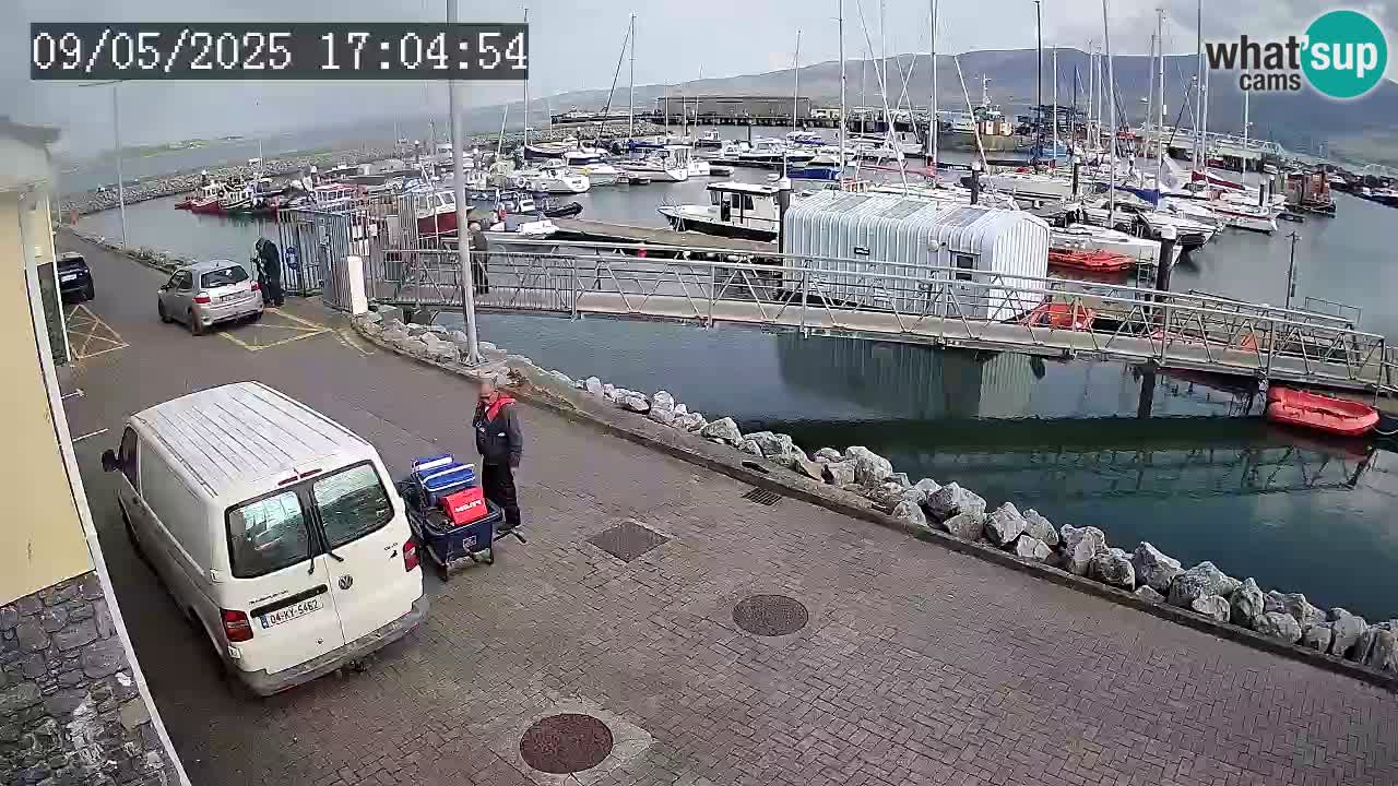 Fenit Marina livecam