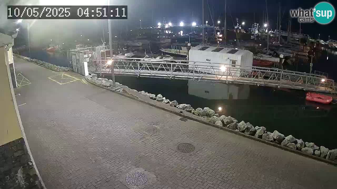 Fenit Marina live webcam