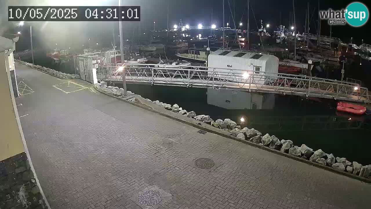 Fenit Marina webcam