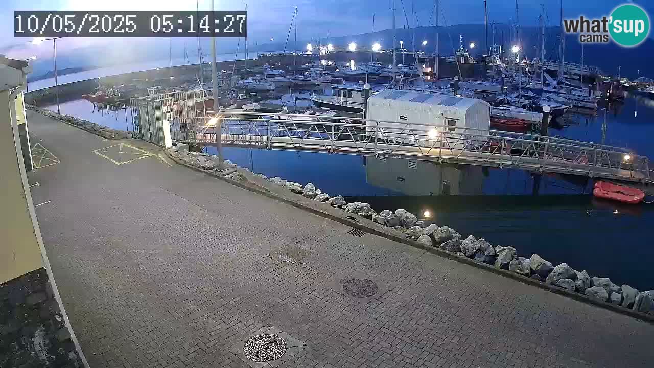 Fenit Marina livecam