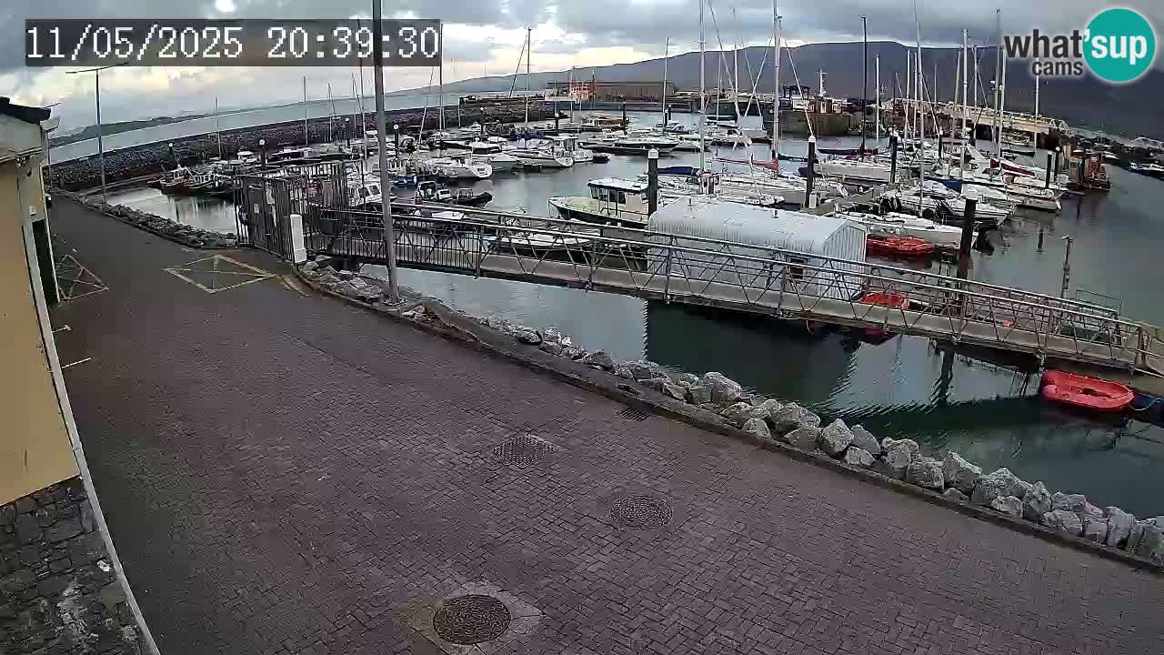 Fenit Marina livecam