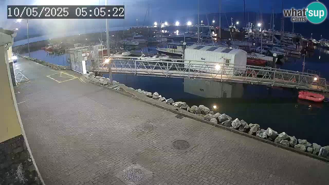 Fenit Marina livecam