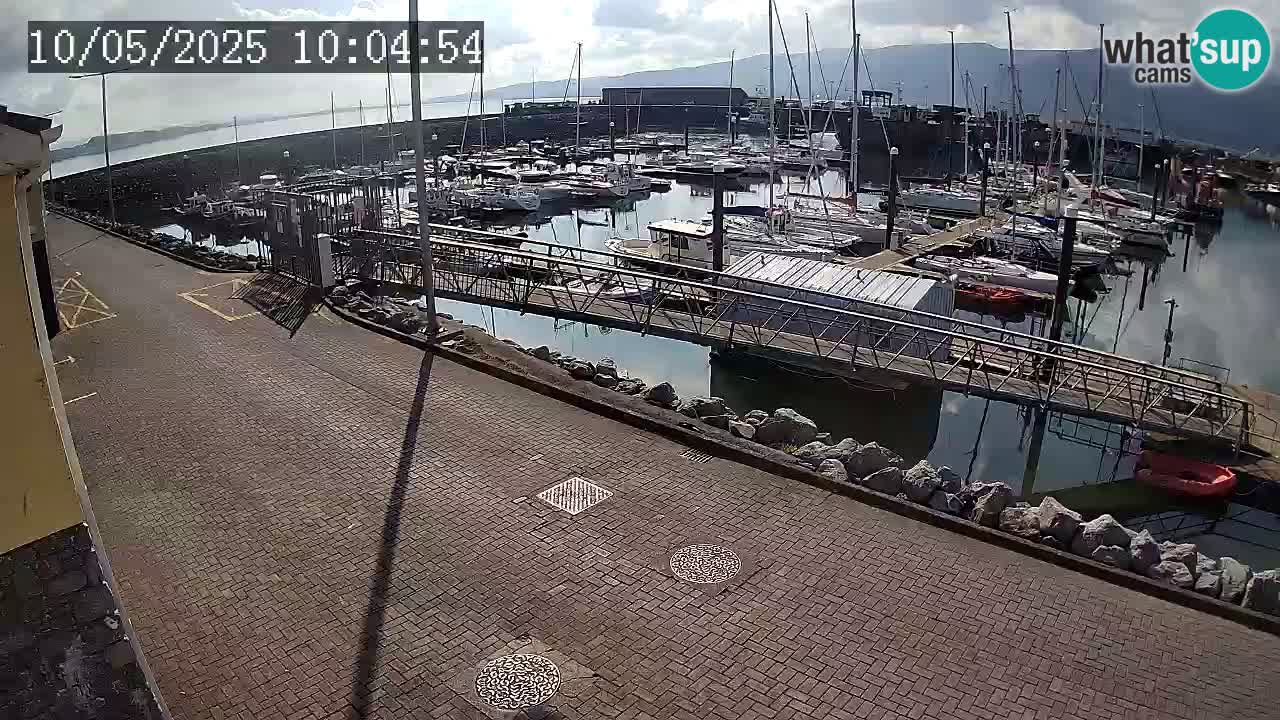 Fenit Marina livecam