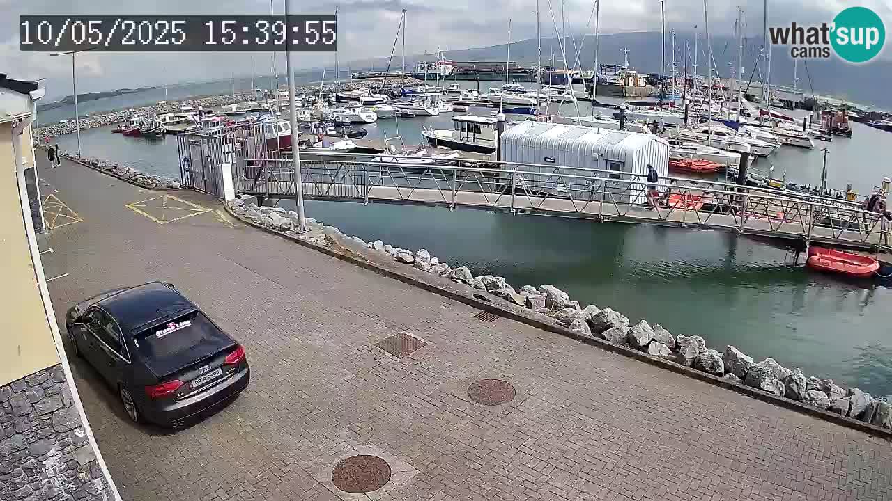 Fenit Marina camera en vivo