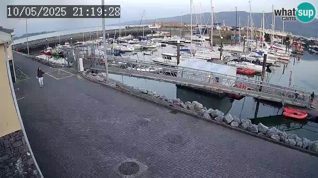 Fenit Marina web kamera