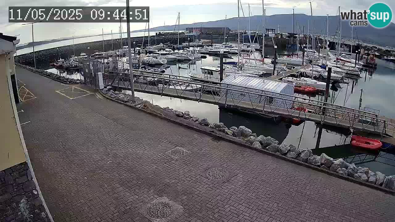 Fenit Marina webcam