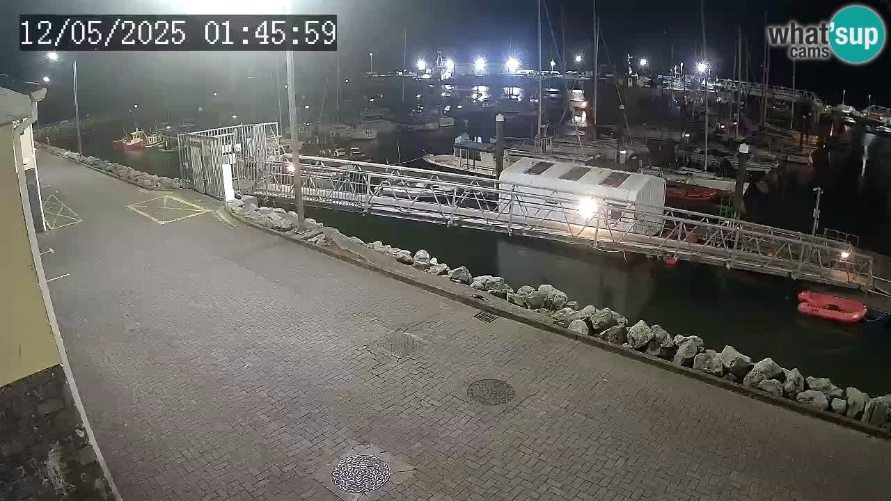Fenit Marina livecam