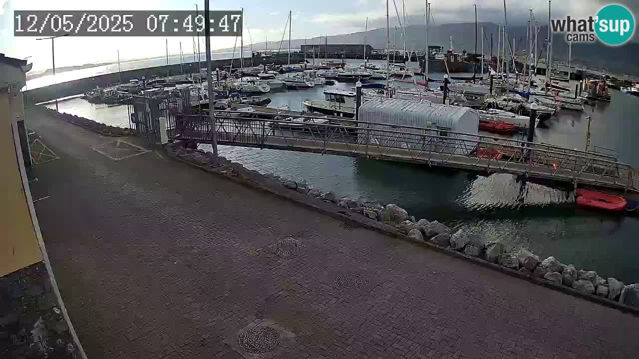 Fenit Marina spletna kamera