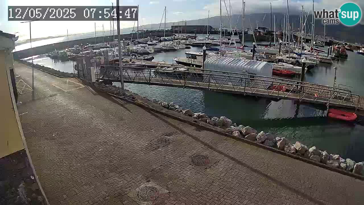 Fenit Marina webcam
