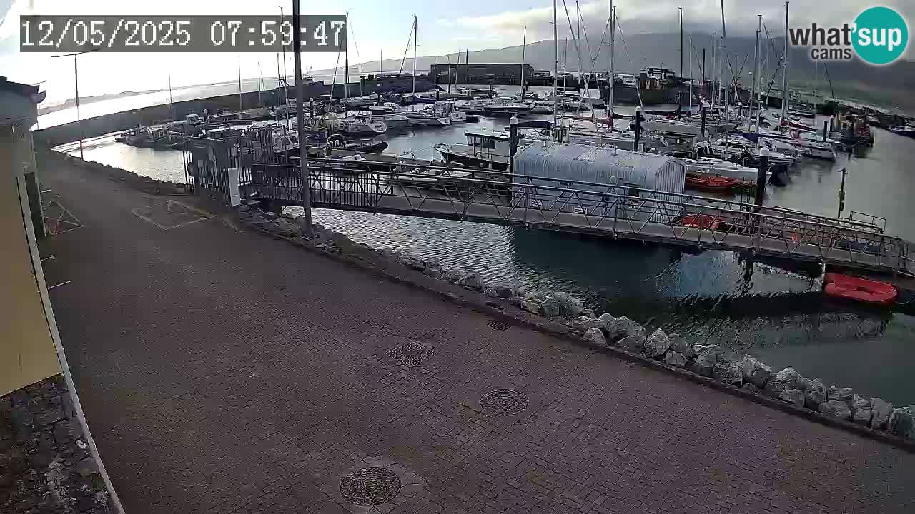 Fenit Marina webcam