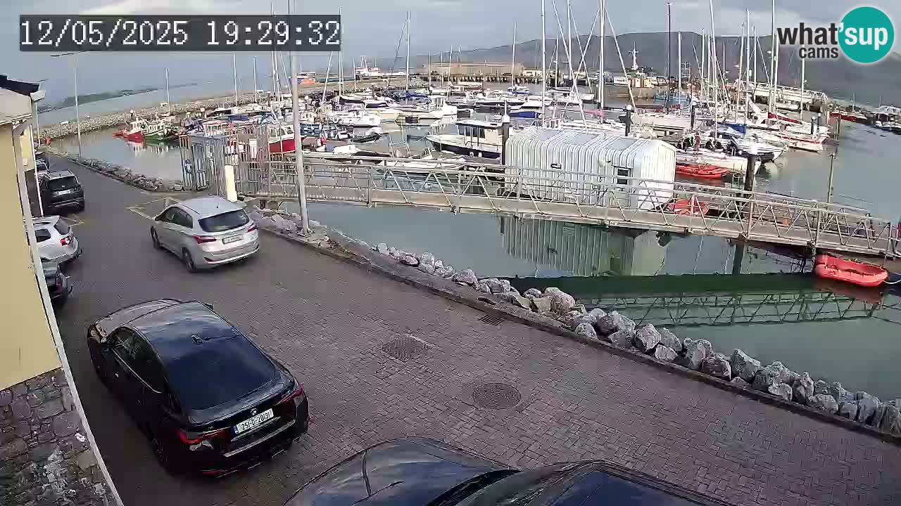 Fenit Marina spletna kamera