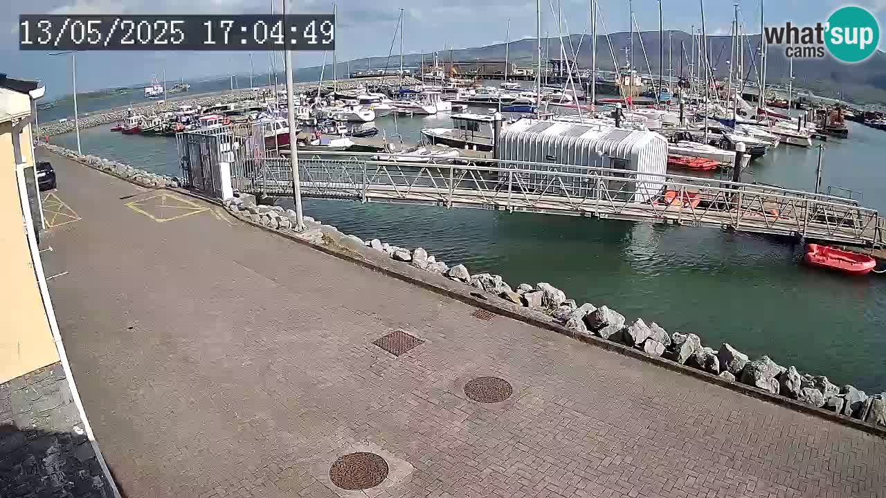 Fenit Marina camera en vivo
