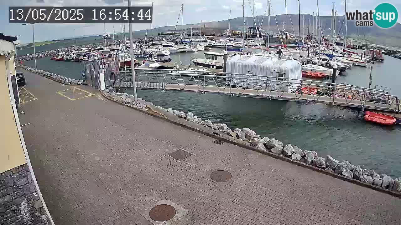 Fenit Marina spletna kamera