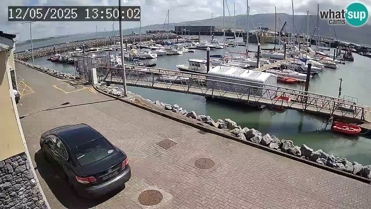 Fenit Marina web kamera