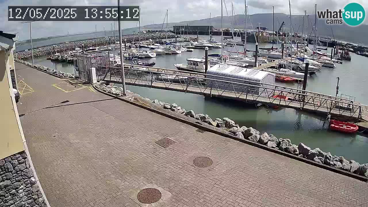 Fenit Marina livecam