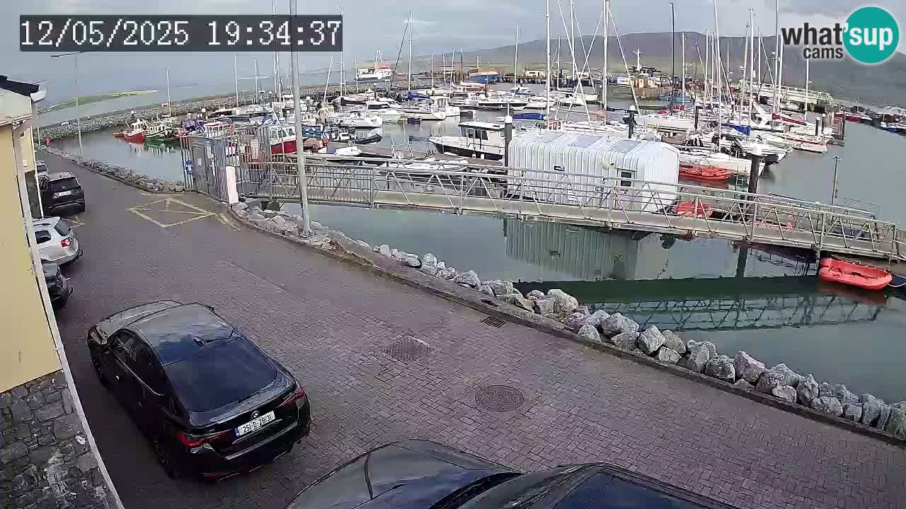Fenit Marina webcam