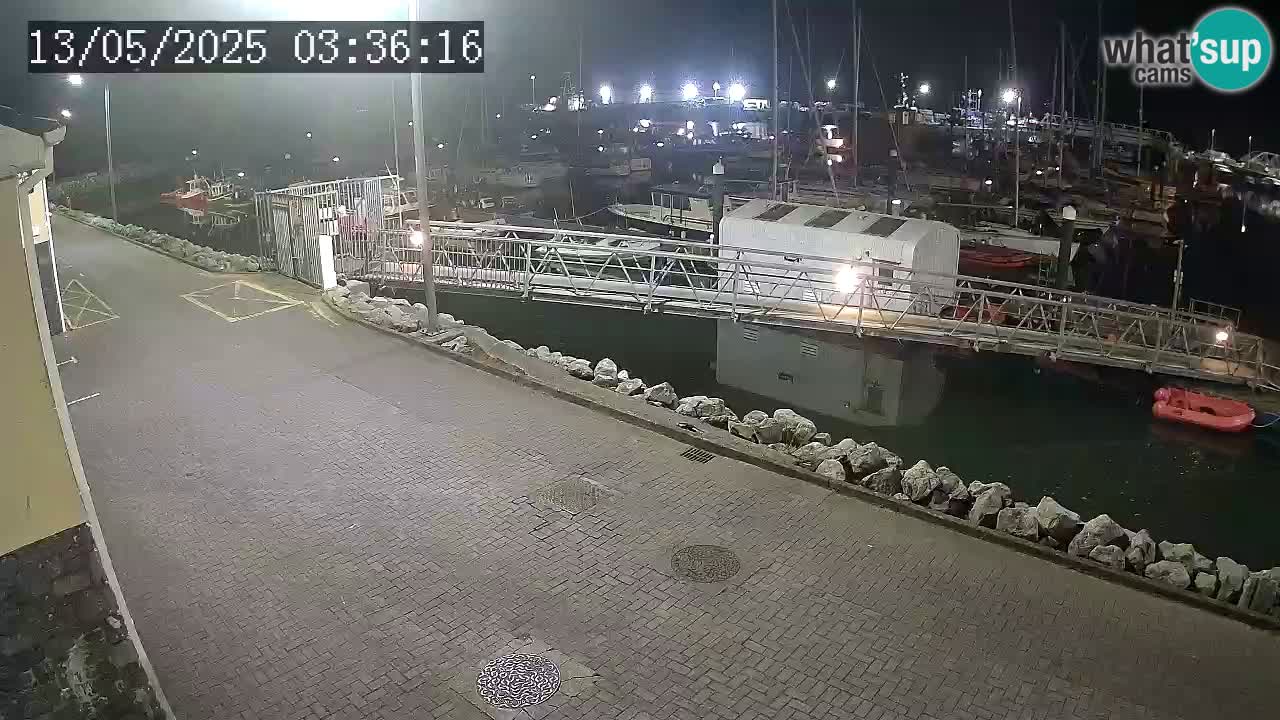 Fenit Marina livecam