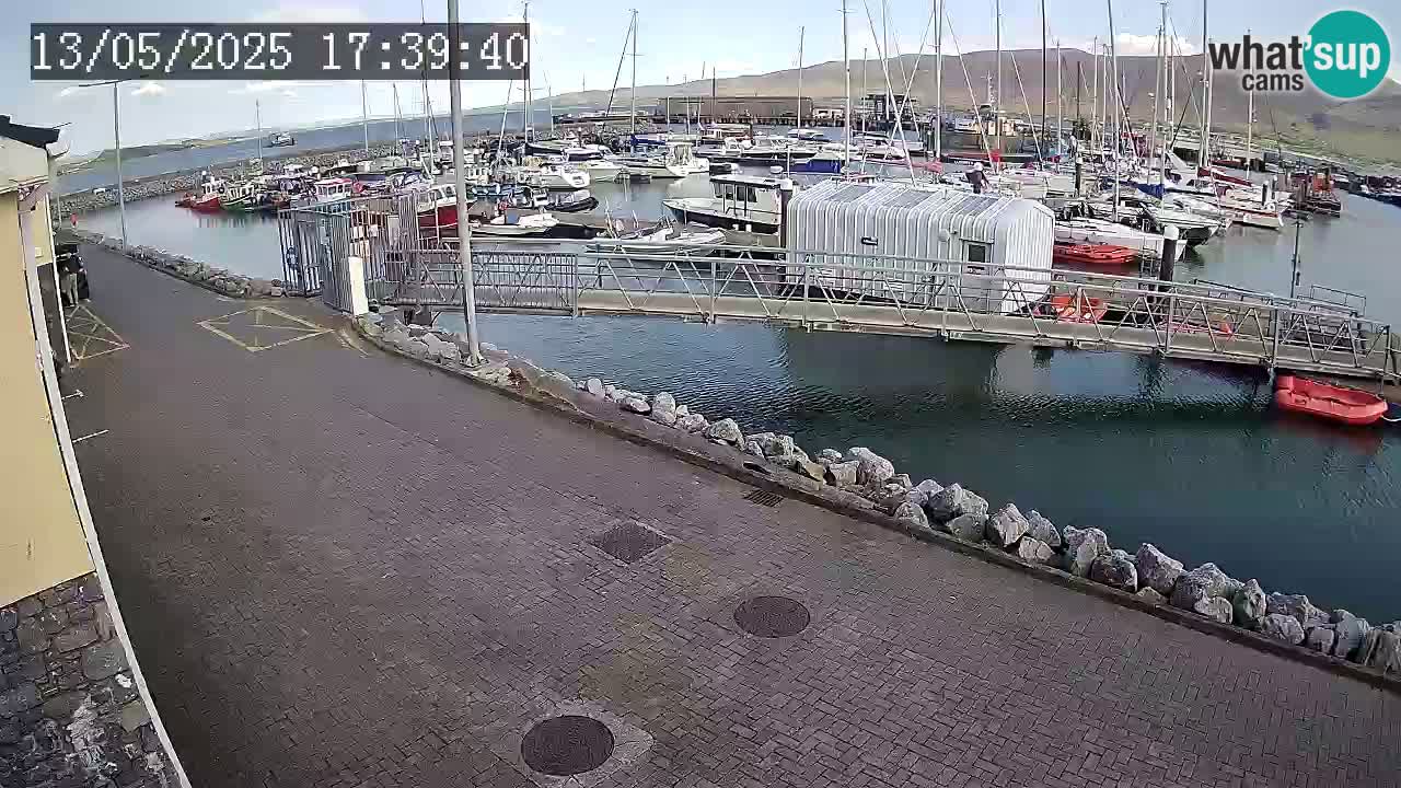 Fenit Marina webcam